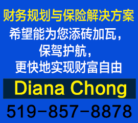 财务顾问 Diana